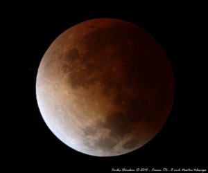 1069979793670894452_n