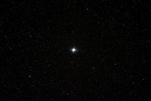 1536158236543478263_n