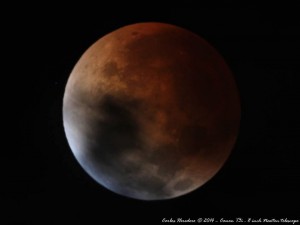 3050633490066374449_n