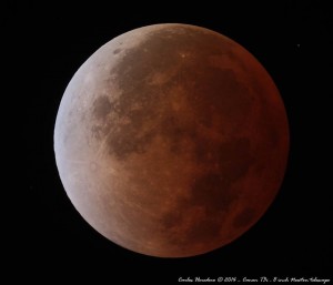 3266682978653406331_n