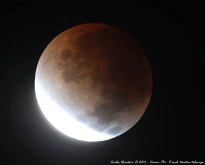 6482854243255383374_n